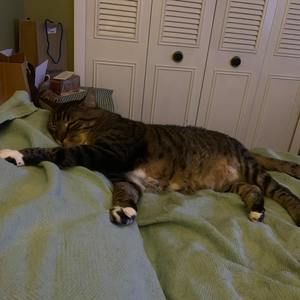 Meet your Posher, Robin